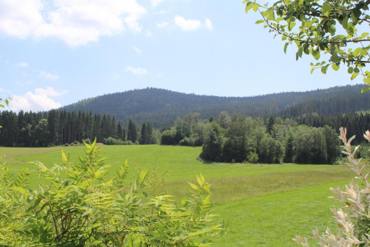 Ferienwohnungen Holzferienhaeuser Leithenwald Zwiesel Εξωτερικό φωτογραφία
